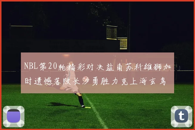 NBL第20轮精彩对决盐南苏科雄狮加时遗憾落败长沙勇胜力克上海玄鸟